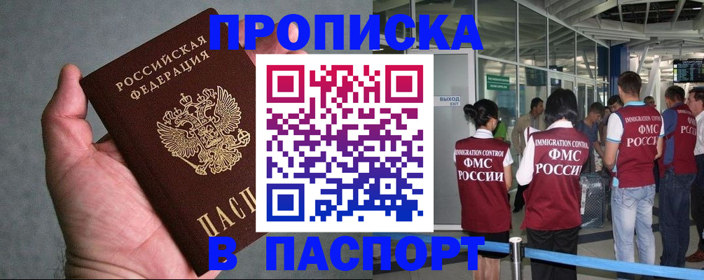 прописка в квартире в Камышлове